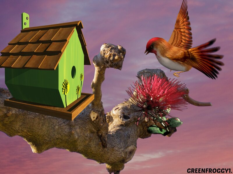 Bird Flying to Birdhouse