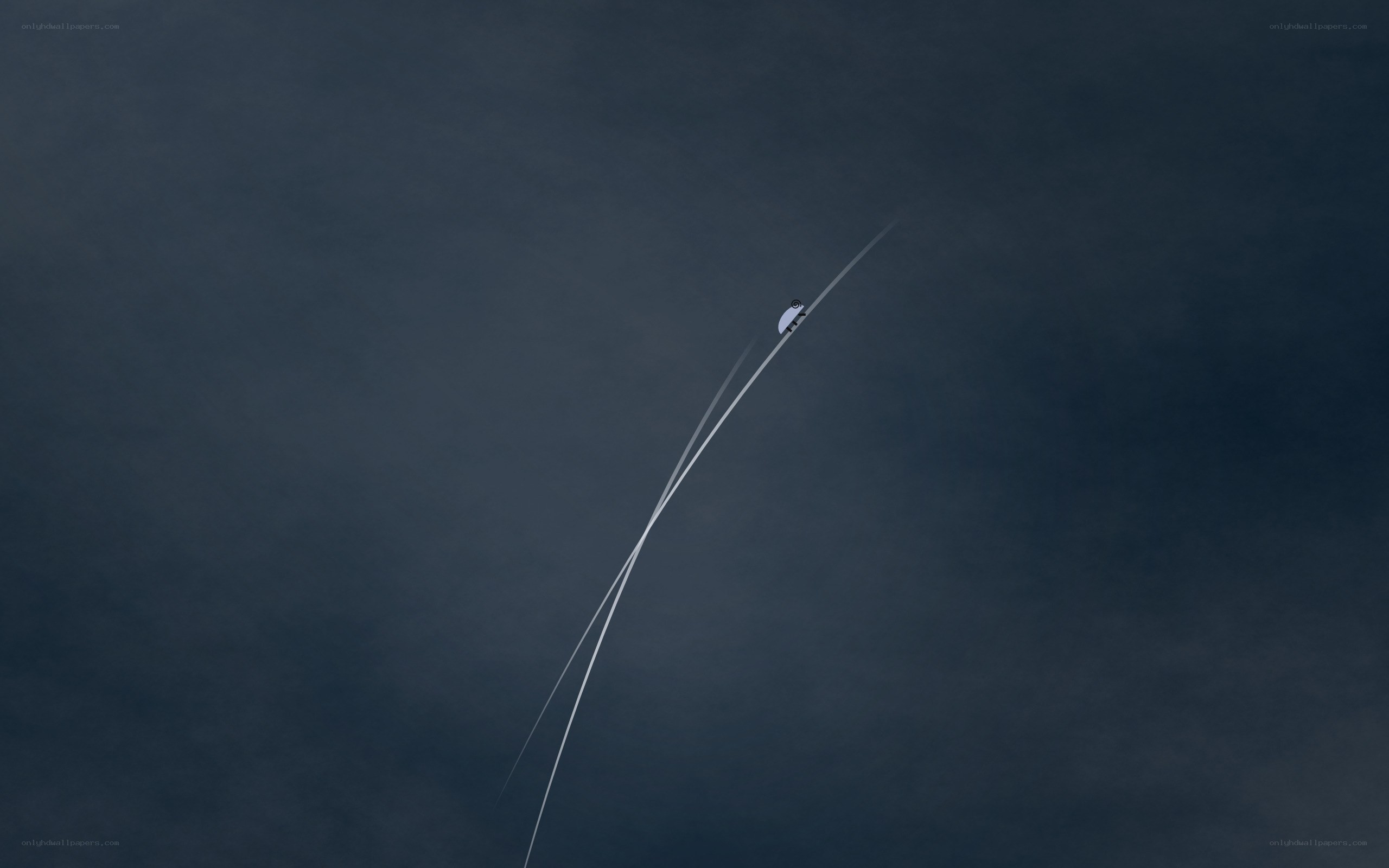 Bird flying with contrails