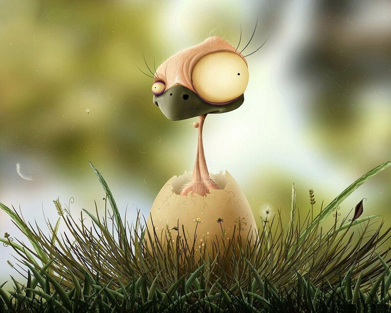 bird hatching from egg