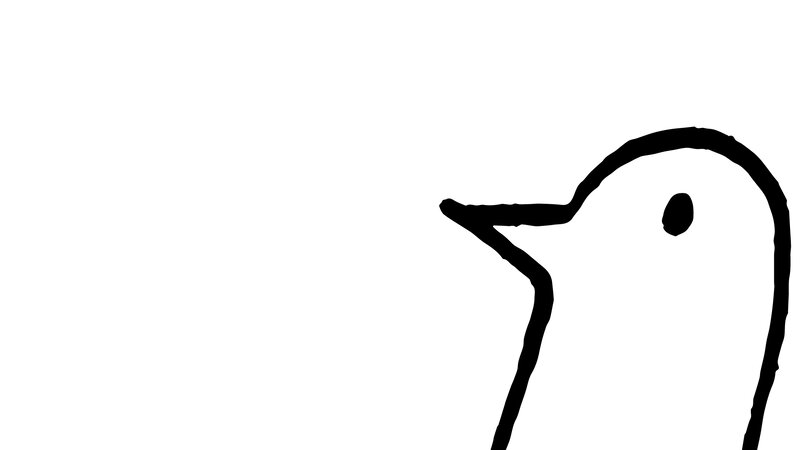 Bird Head Outline