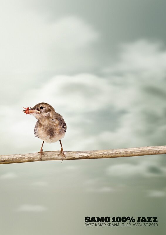 Bird Holding Insect — Gray