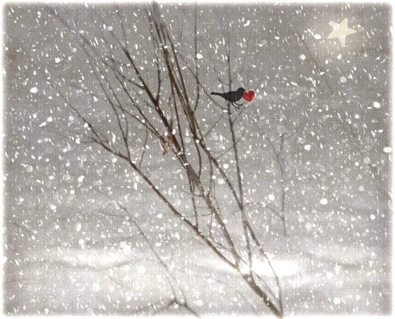 Bird Holding Red Heart