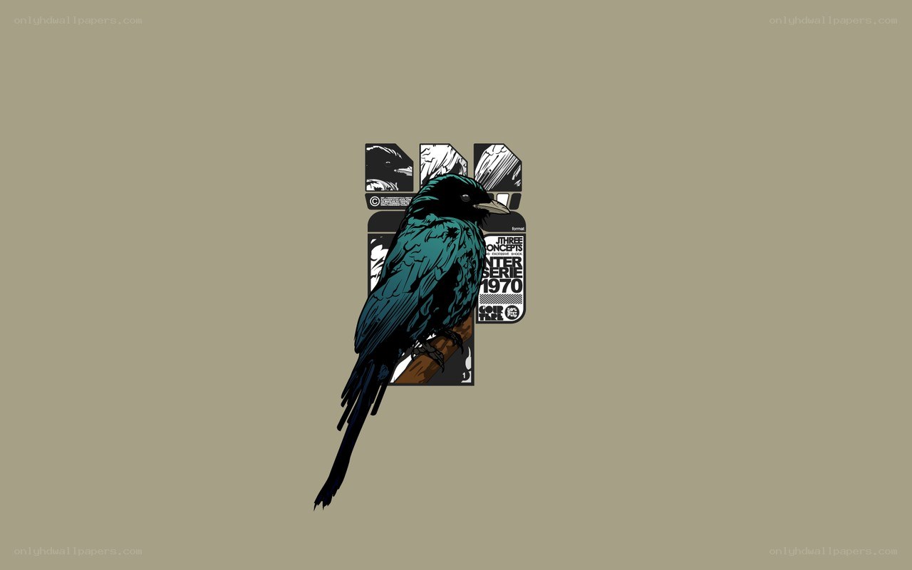 bird illustration with graphic design