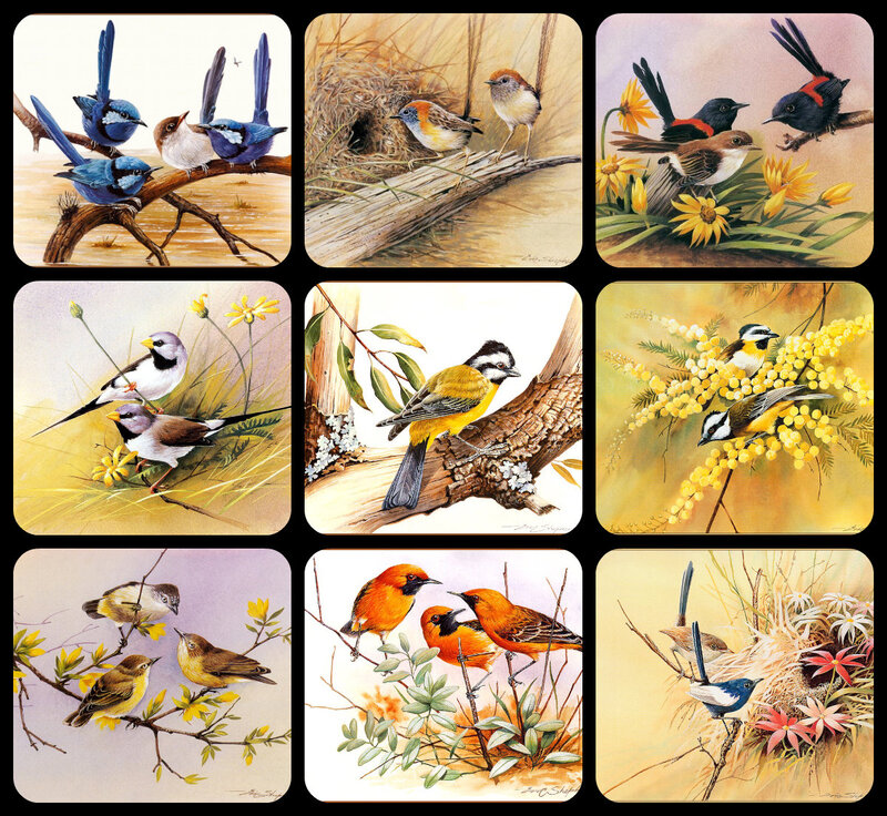 Bird Illustrations
