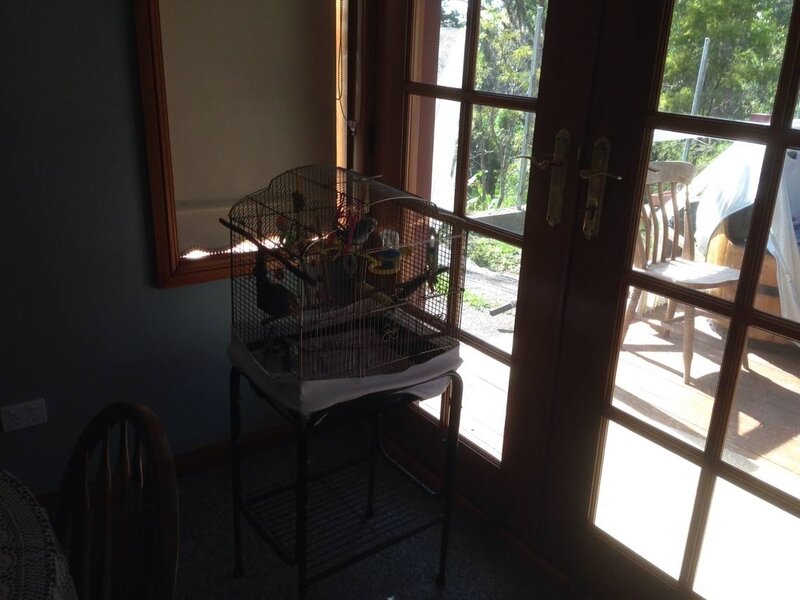 Bird in a Cage — Brown, Calm