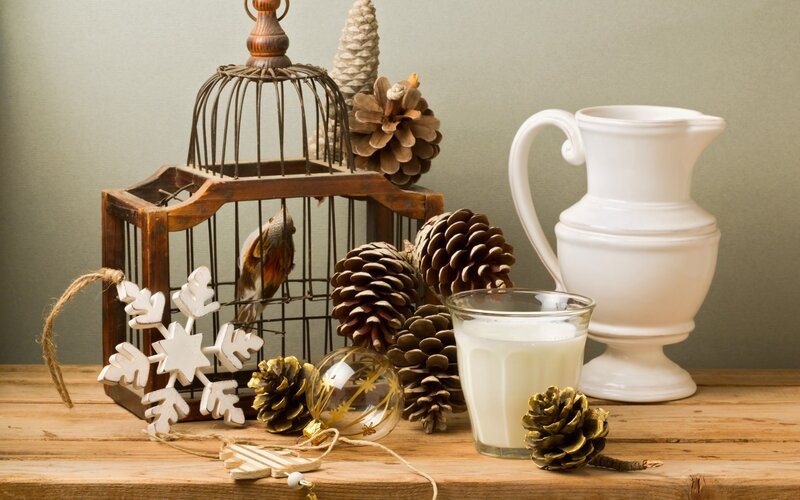 Bird in a Cage — Brown