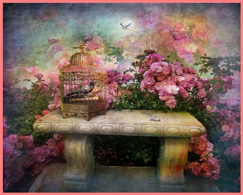 Bird in a Cage — Pink, Dreamy