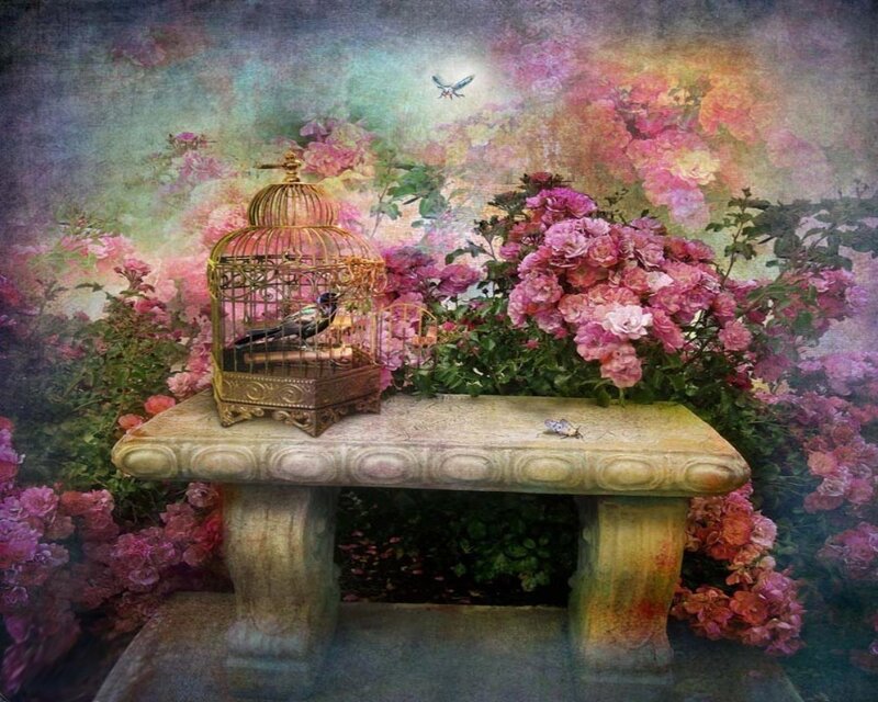 Bird in a Cage — Pink