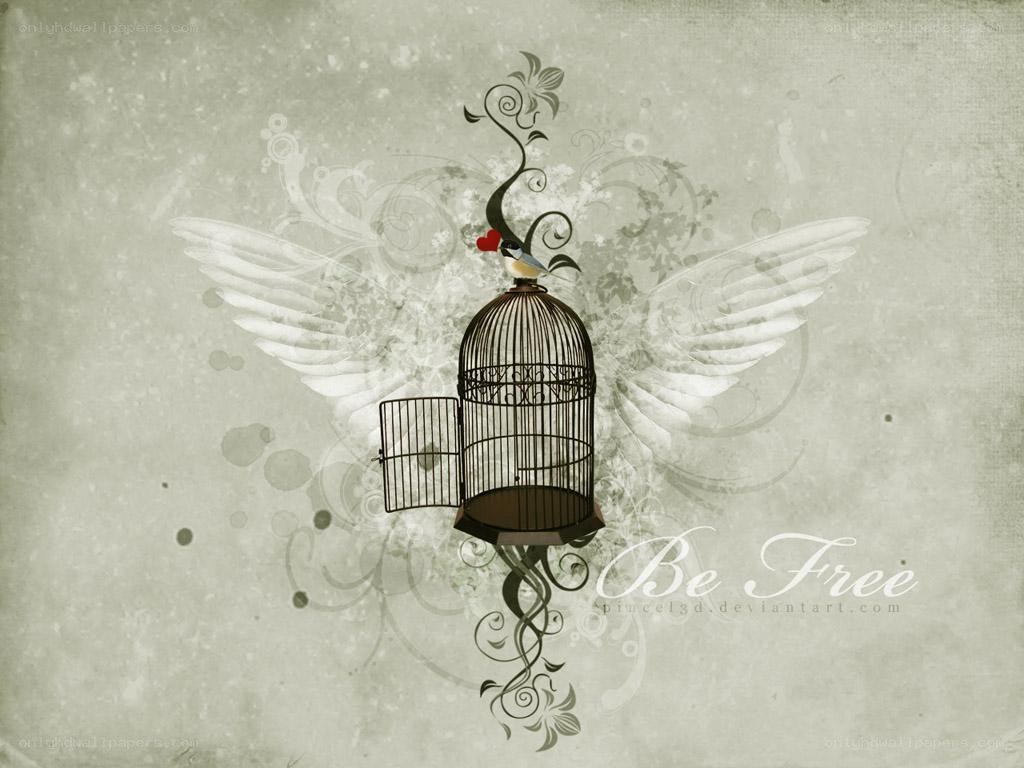 Bird in a cage with wings