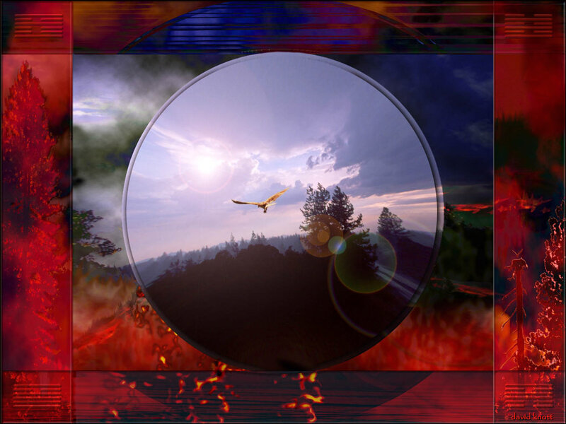 Bird in a circular frame