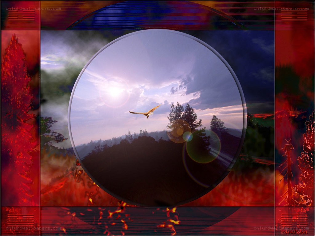 Bird in a circular frame