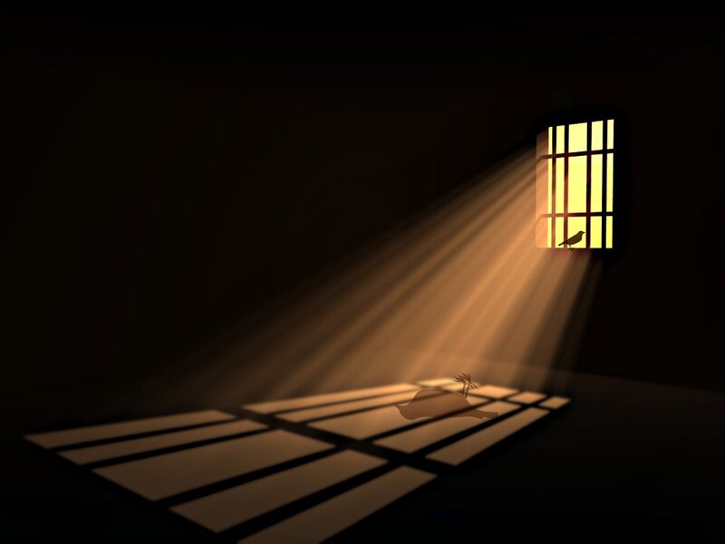 Bird in a Dark Room