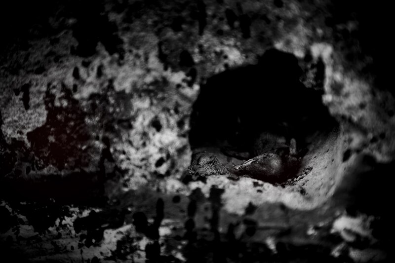 Bird in a Nest — Black