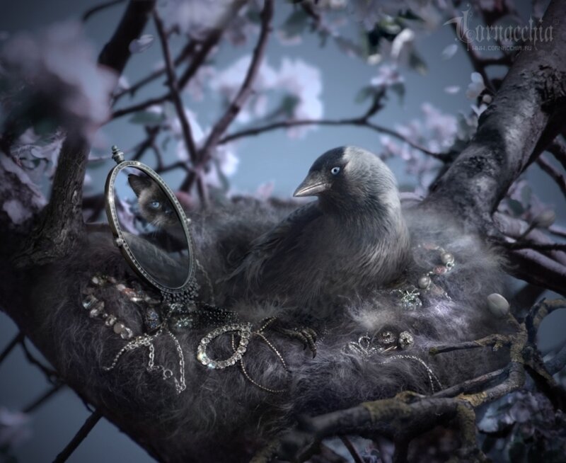 Bird in a Nest — Gray