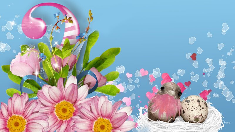 Bird in a Nest — Pink