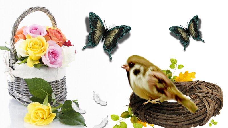 Bird in a Nest — Yellow