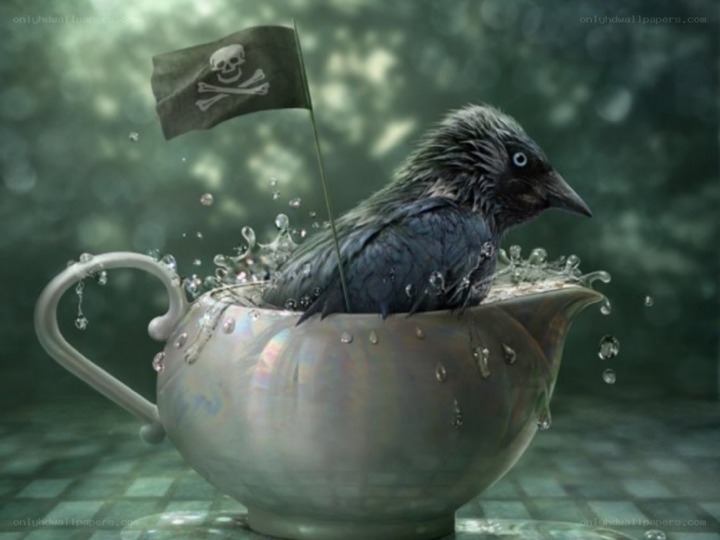bird in a teacup pirate