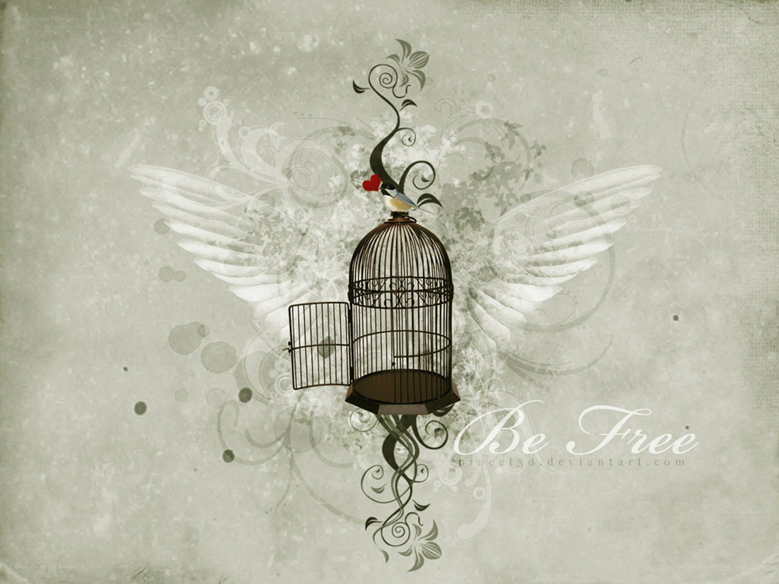 Bird in an open cage