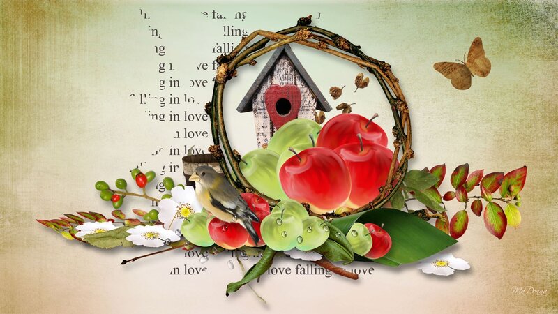 Bird in Birdhouse with Apples