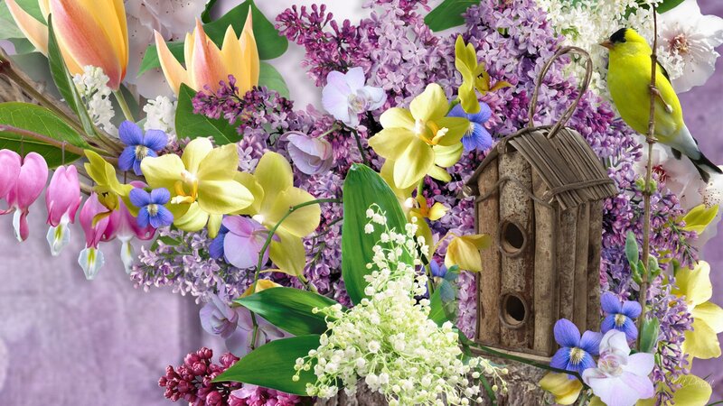 Bird in Birdhouse with Flowers