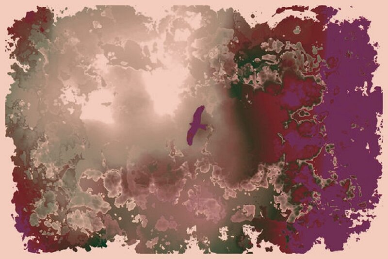 Bird in Cloudy Sky