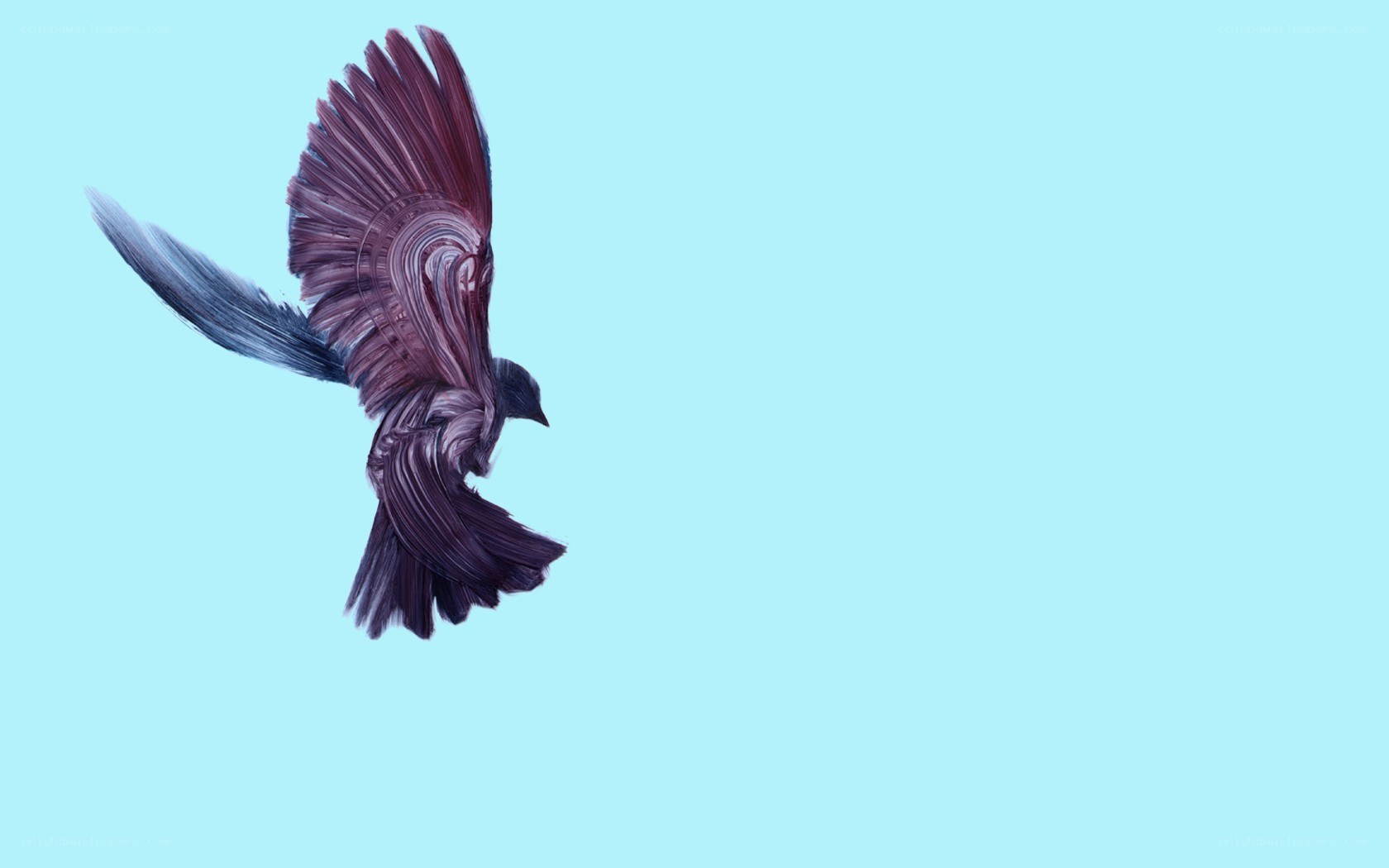 bird in flight artwork