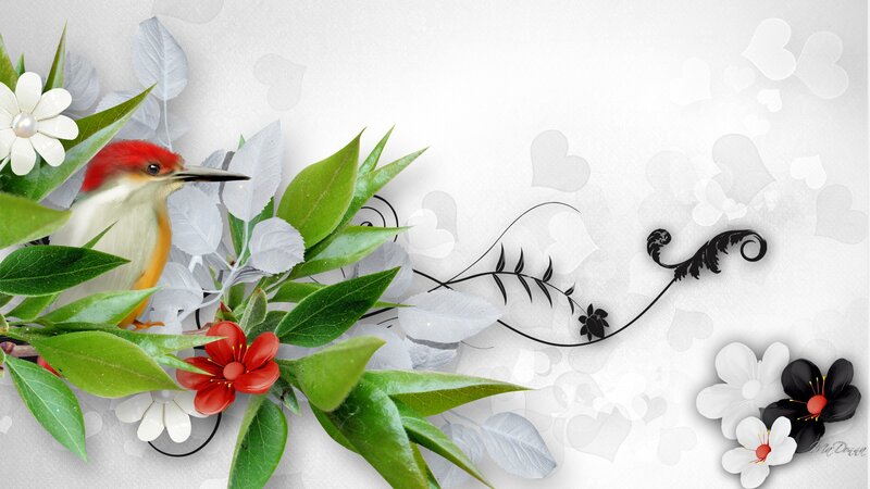 Bird in Floral Arrangement — White, Serene