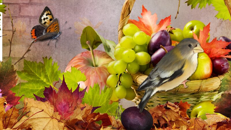 Bird in Fruit Basket