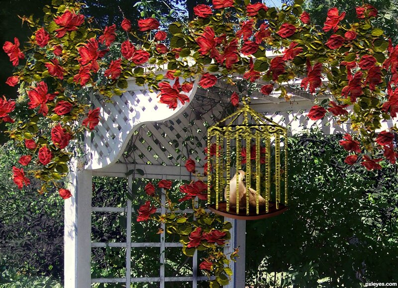 Bird in Golden Cage