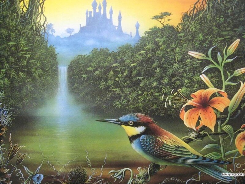 Bird in Jungle