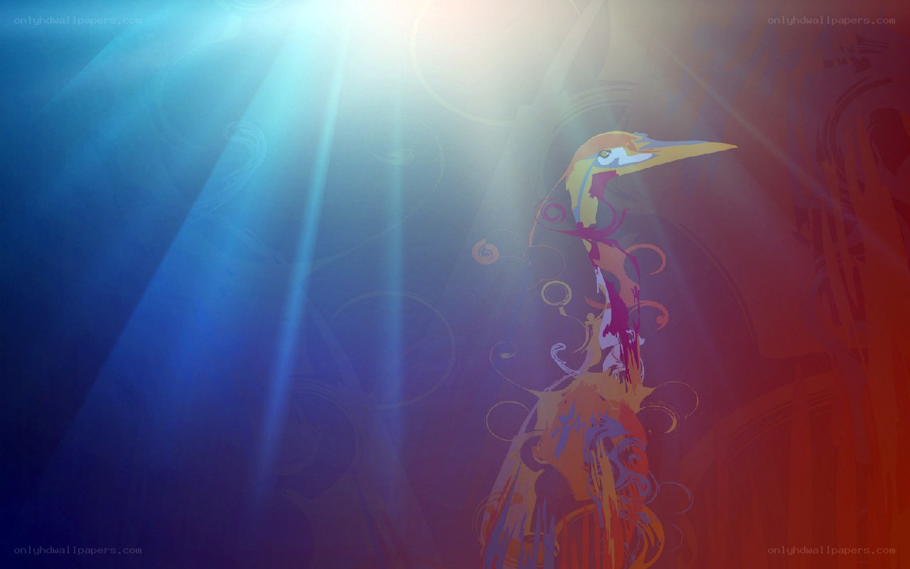 bird in light rays