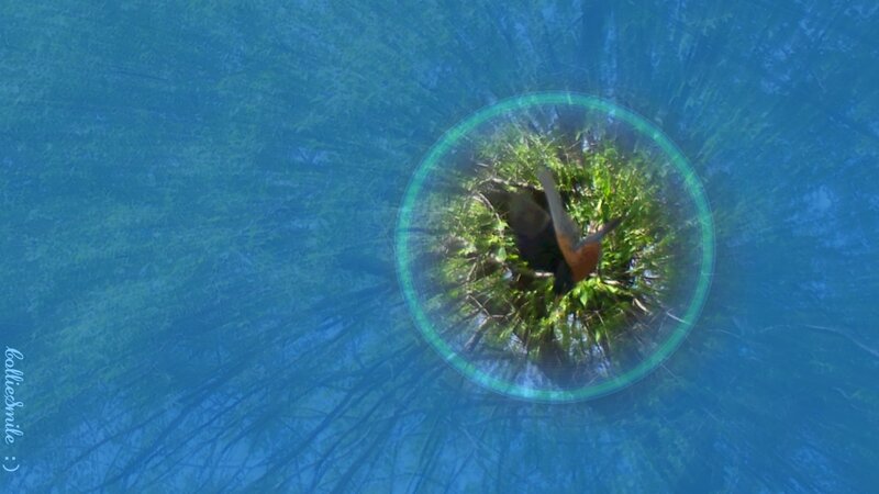 Bird in Nest — Blue