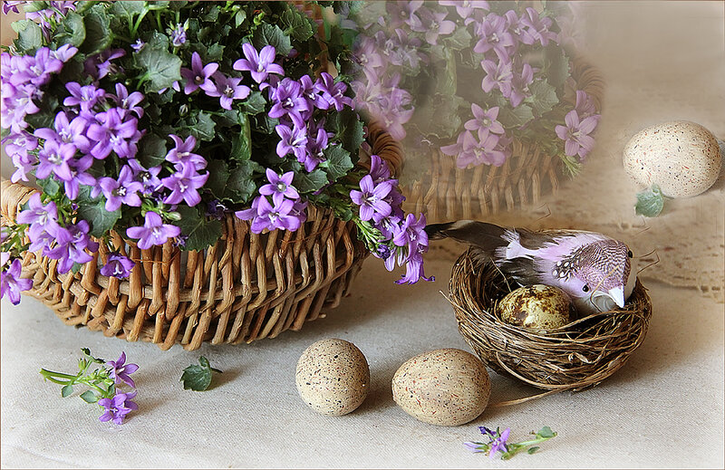 Bird in Nest with Eggs — Purple