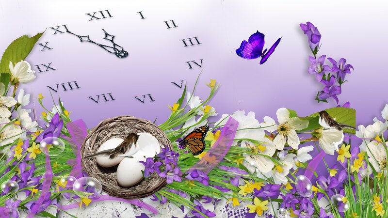 Bird in Nest with Eggs