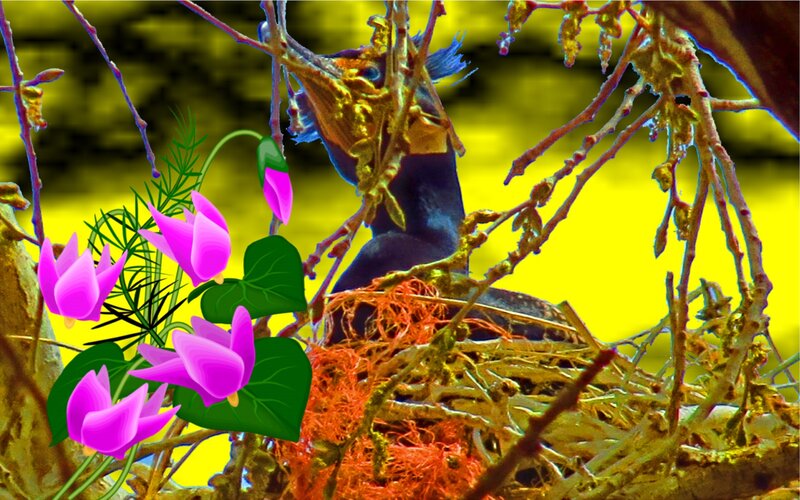 Bird in Nest with Flowers