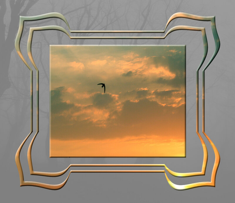 Bird in Sunset Sky