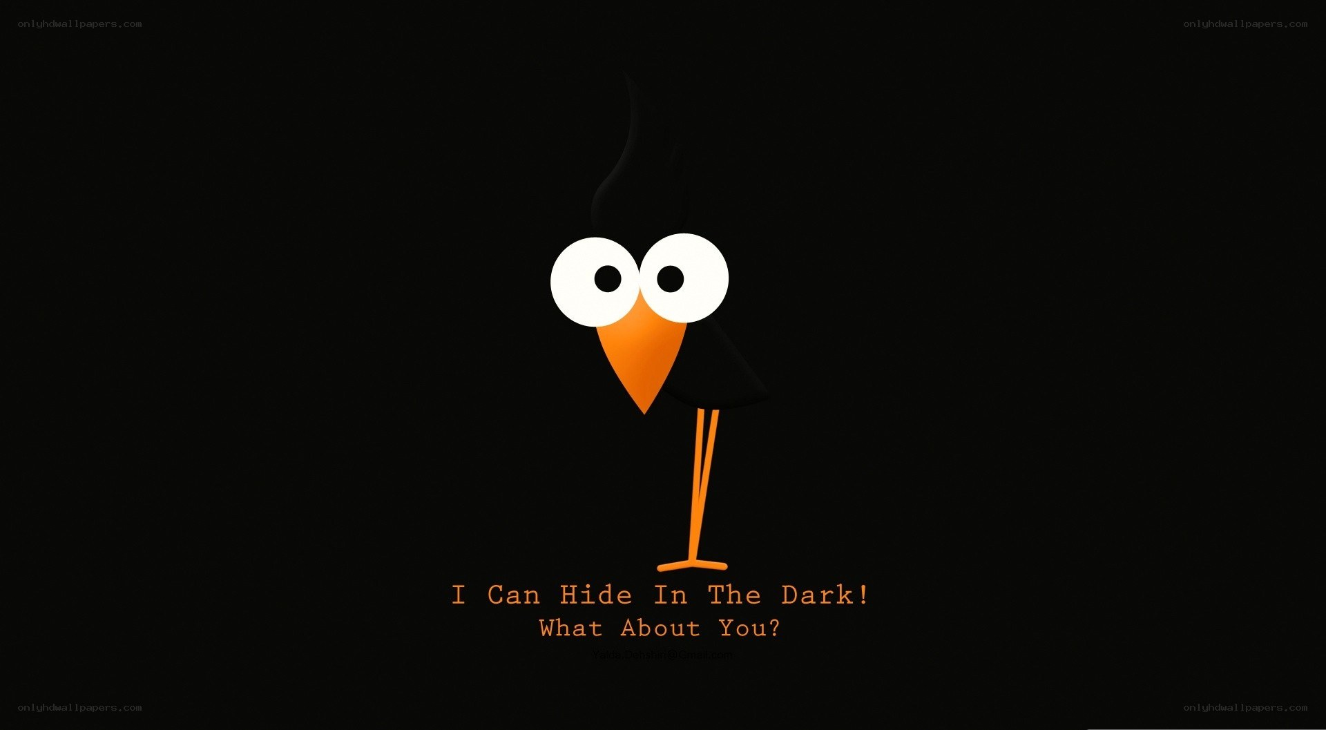 bird in the dark