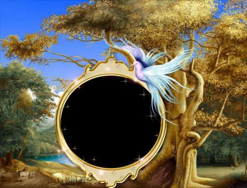Bird in Tree Frame