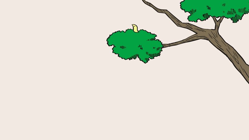 Bird in Tree — Green