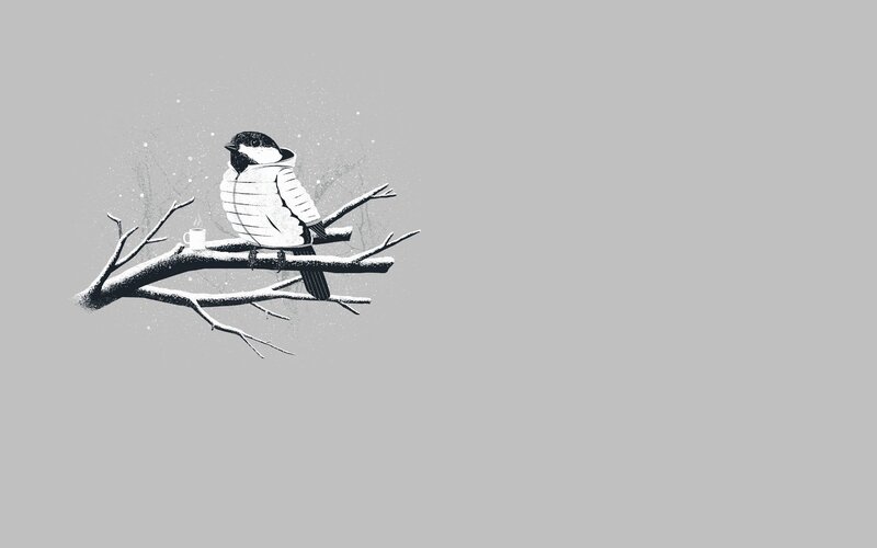 Bird in Winter Coat — Gray, Calm