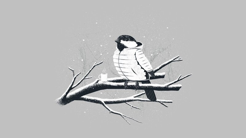bird in winter coat on branch