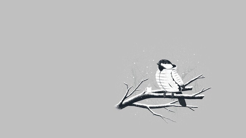 Bird in Winter Coat