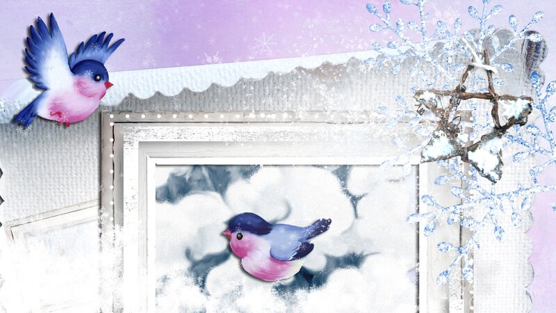Bird in Winter Scene