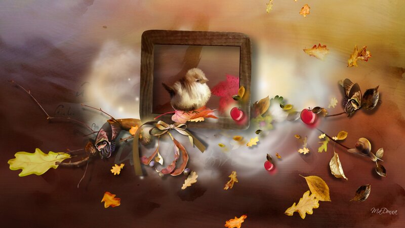 Bird in Wooden Frame