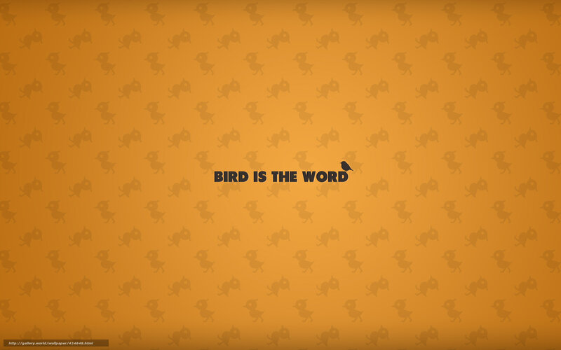 bird is the word wallpaper