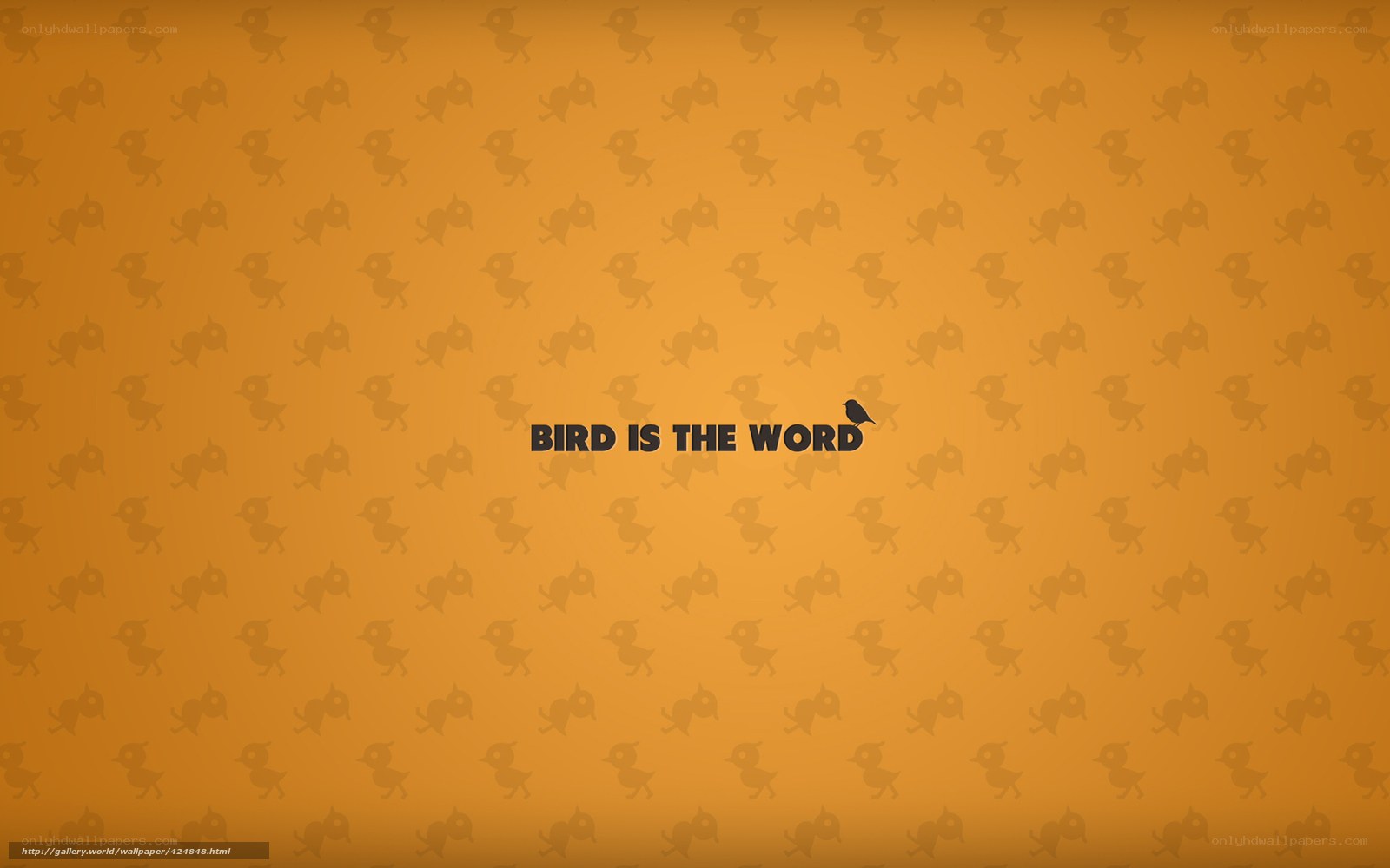 bird is the word wallpaper