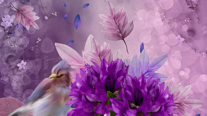 Bird Near Purple Flowers