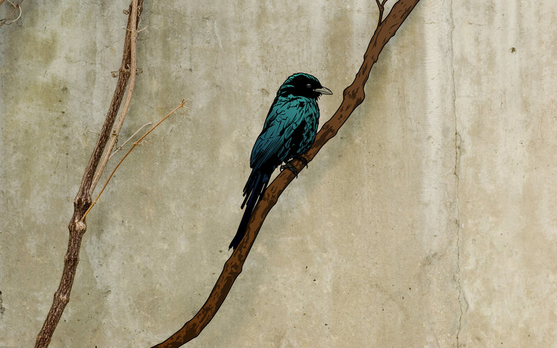 bird on a branch