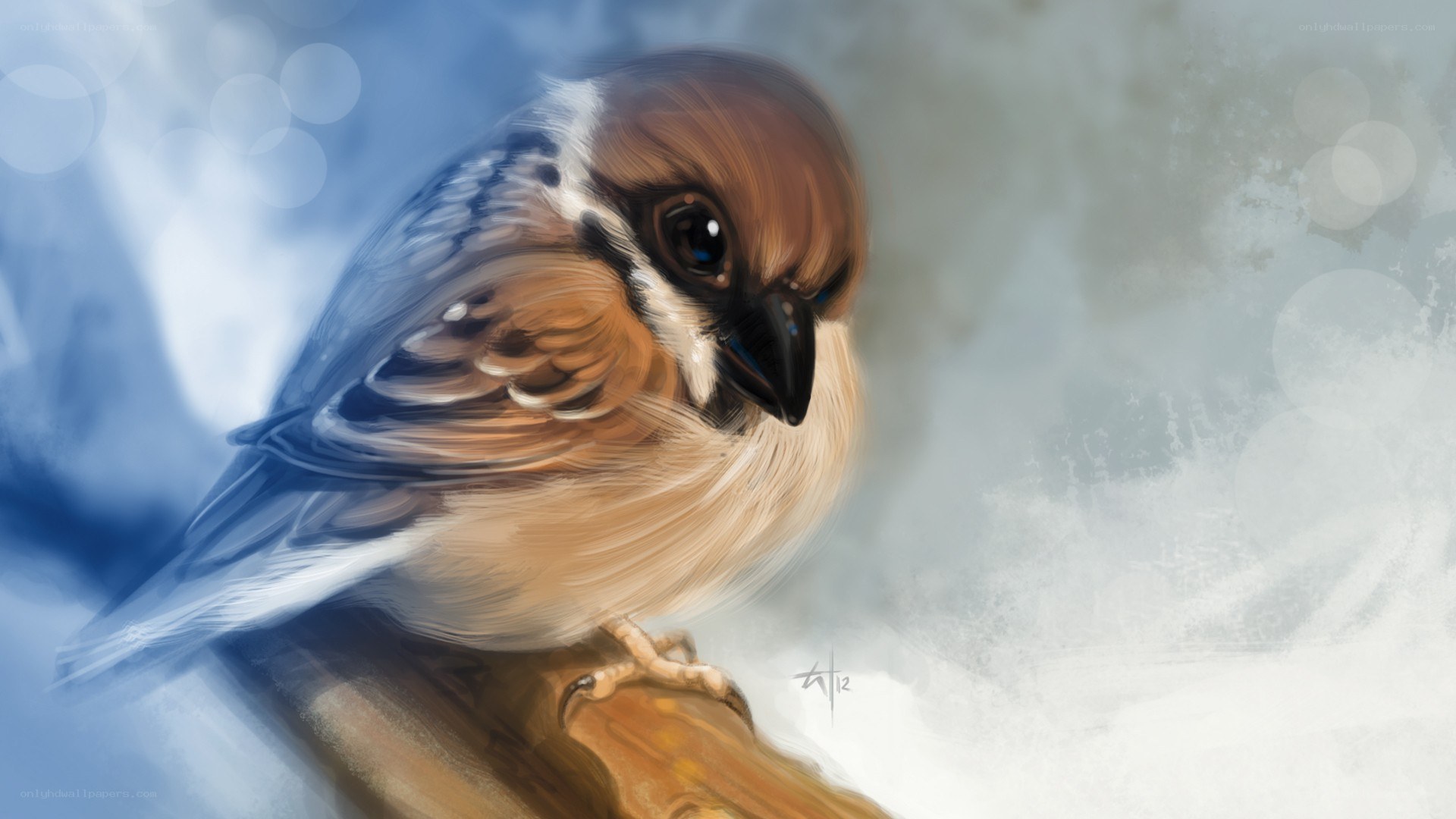 bird on a branch