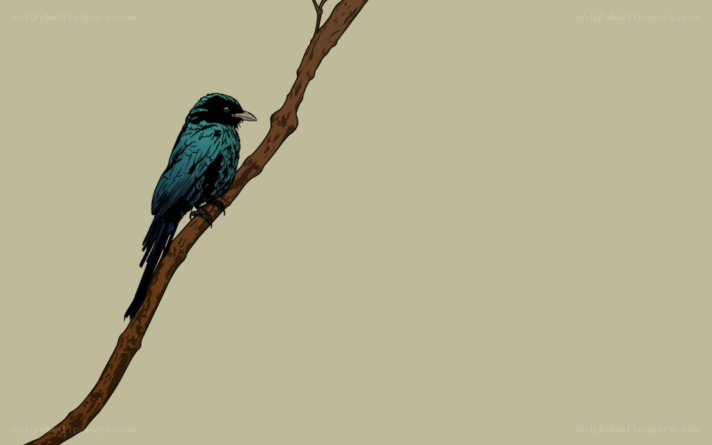 bird on a branch